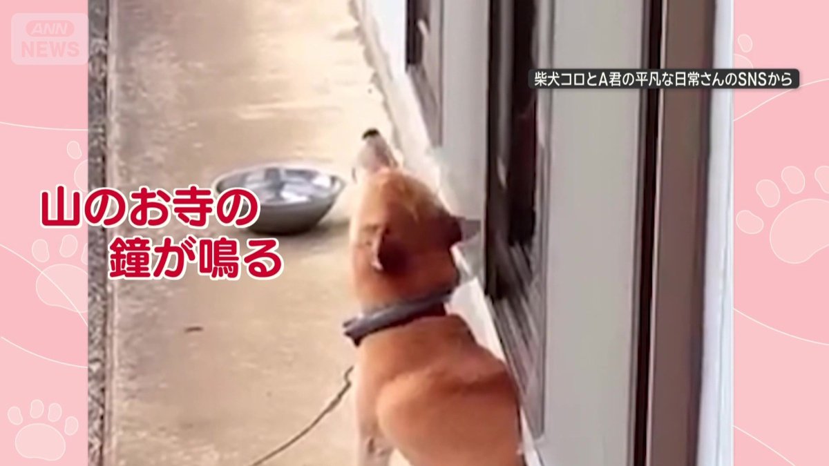 チャイムに合わせてほえる