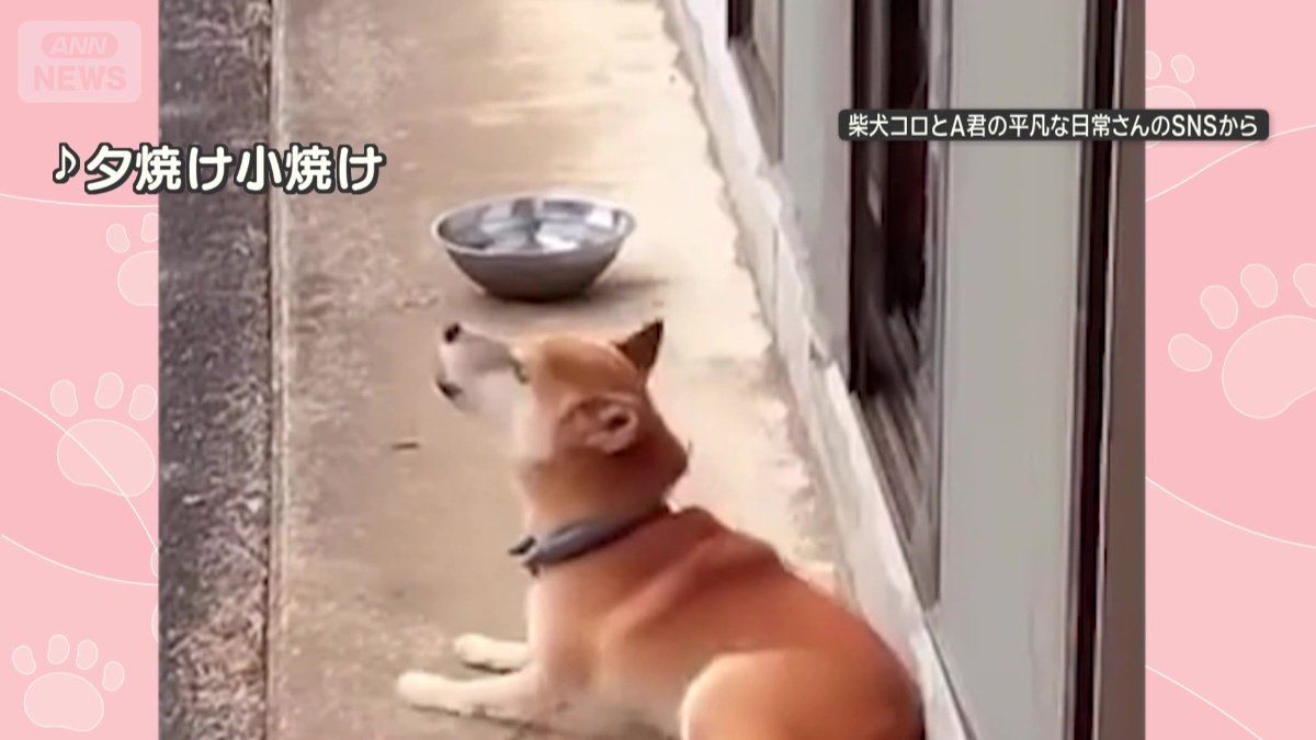 「夕焼け小焼け」が聞こえると…