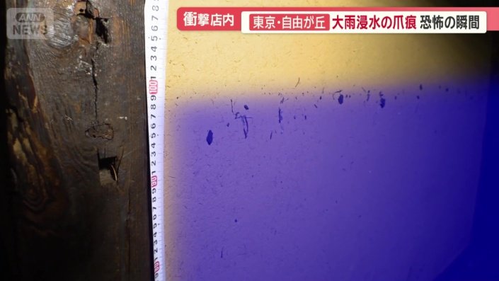 入り口付近の壁