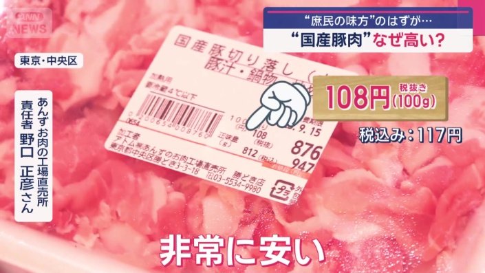国産豚の小間切れ