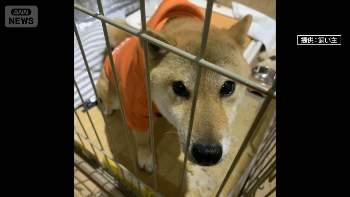 「窓開けたらいた」飼い犬犠牲…住宅に侵入試みるクマ　専門家「急な攻撃スイッチも」