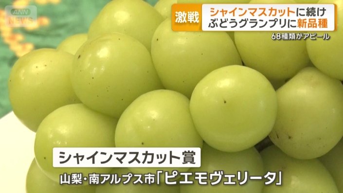 シャインマスカット賞「ピエモヴェリータ」