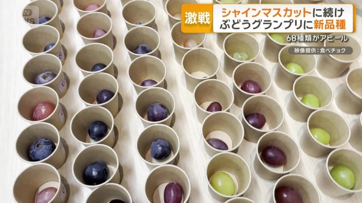 「ぶどうグランプリ」
