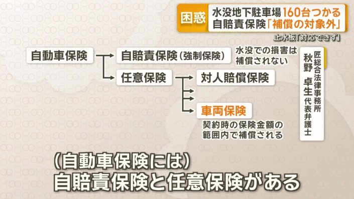 自動車保険