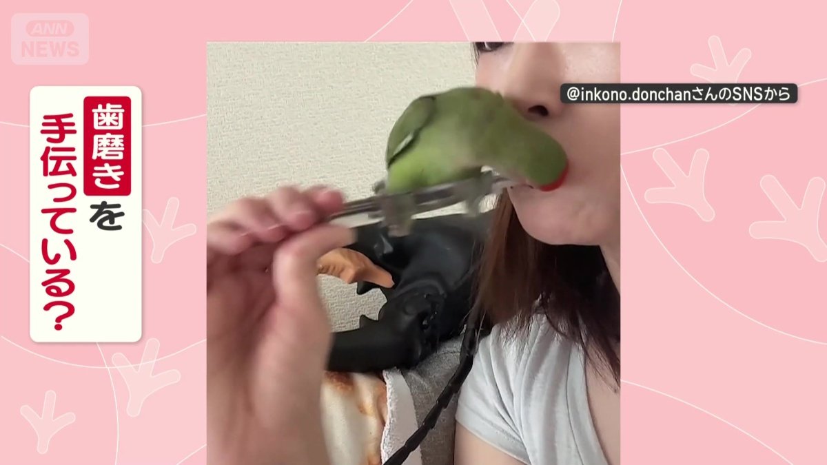 歯磨きを手伝ってる？