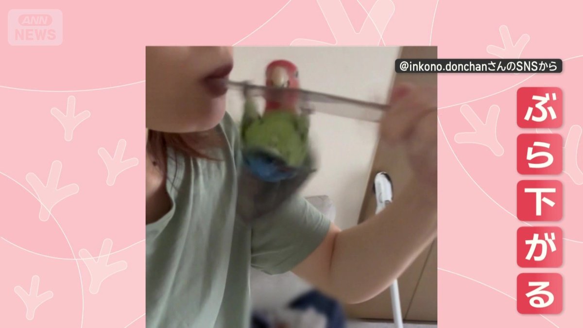 ぶら下がる