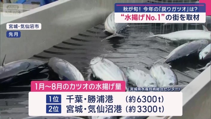 カツオの水揚げ量