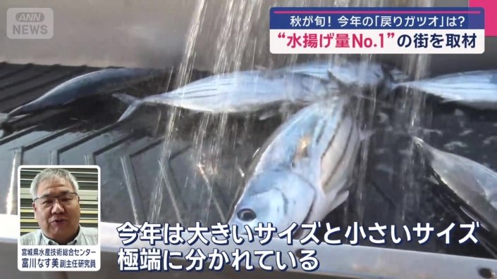 宮城県水産技術総合センター　富川なす美副主任研究員