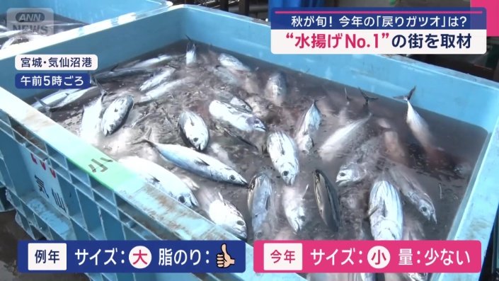 見た目のにぎわいとは反して…