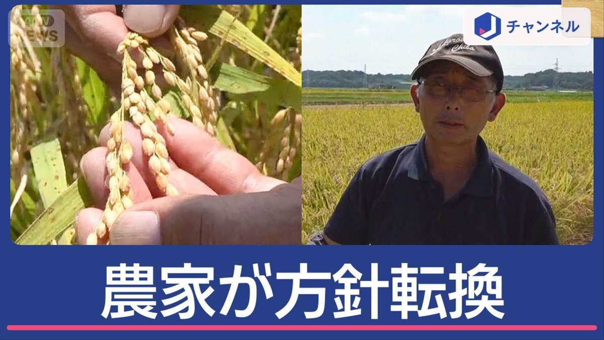 続くコメ高騰　農家が大胆方針転換　価格下落の可能性も
