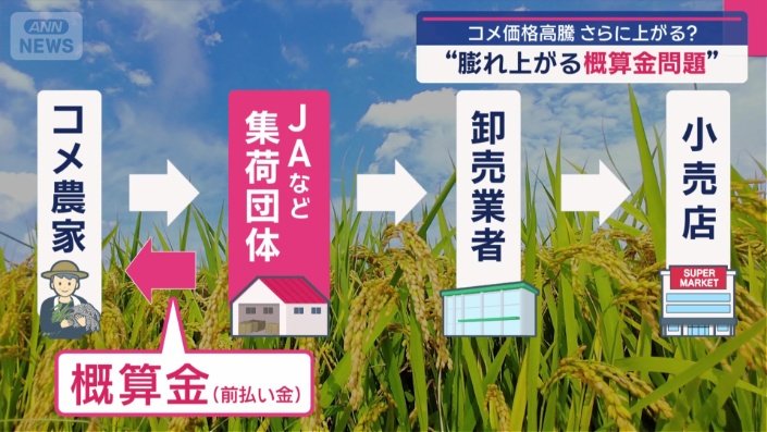 新米が高騰する要因は？