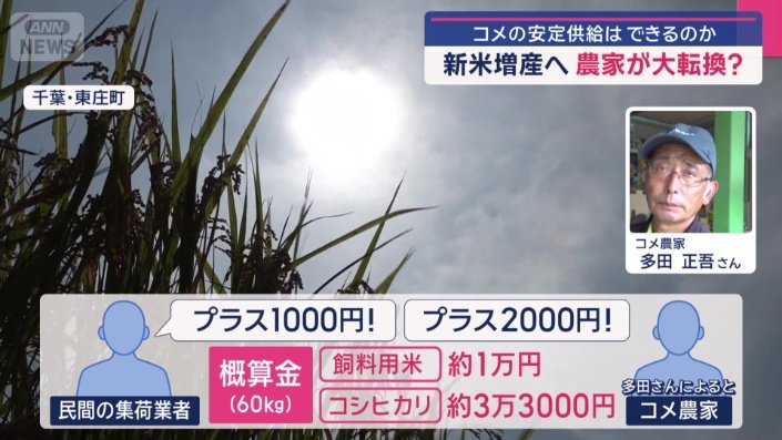 主食用米の価格高騰