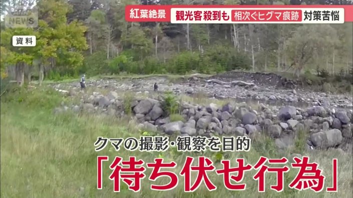 観光客が車の中などで待機する「待ち伏せ行為」も問題に