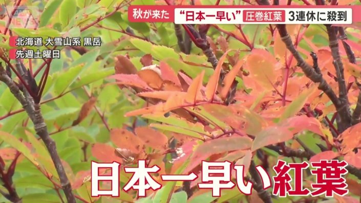 全国各地から来る理由は…