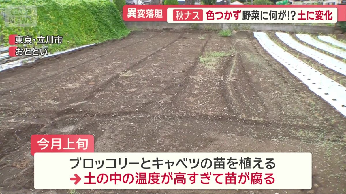 長引く暑さの影響で…