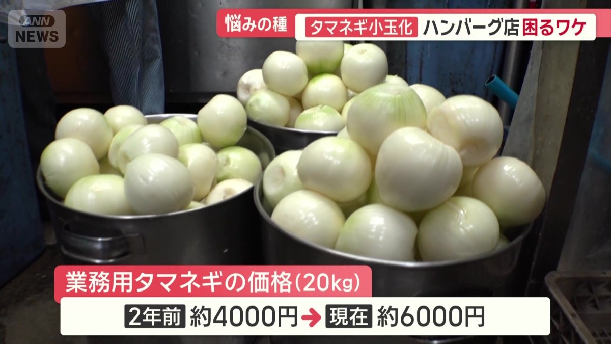 タマネギの高騰