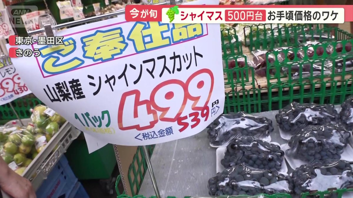 手頃な価格に
