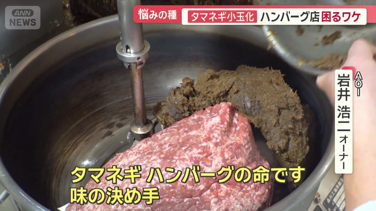 「味の決め手」のタマネギ