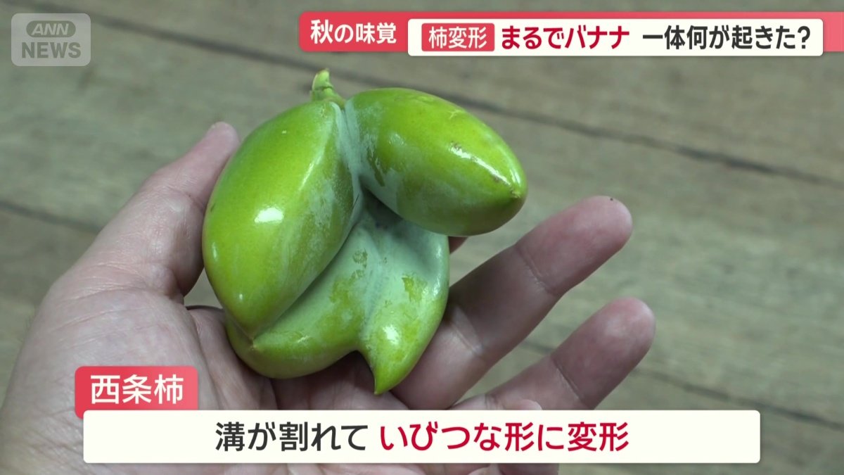 まるでバナナのように