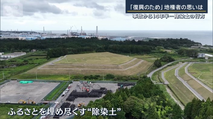 除染土