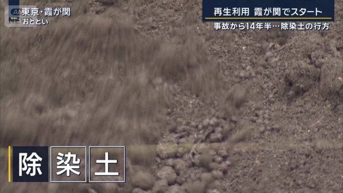 除染土
