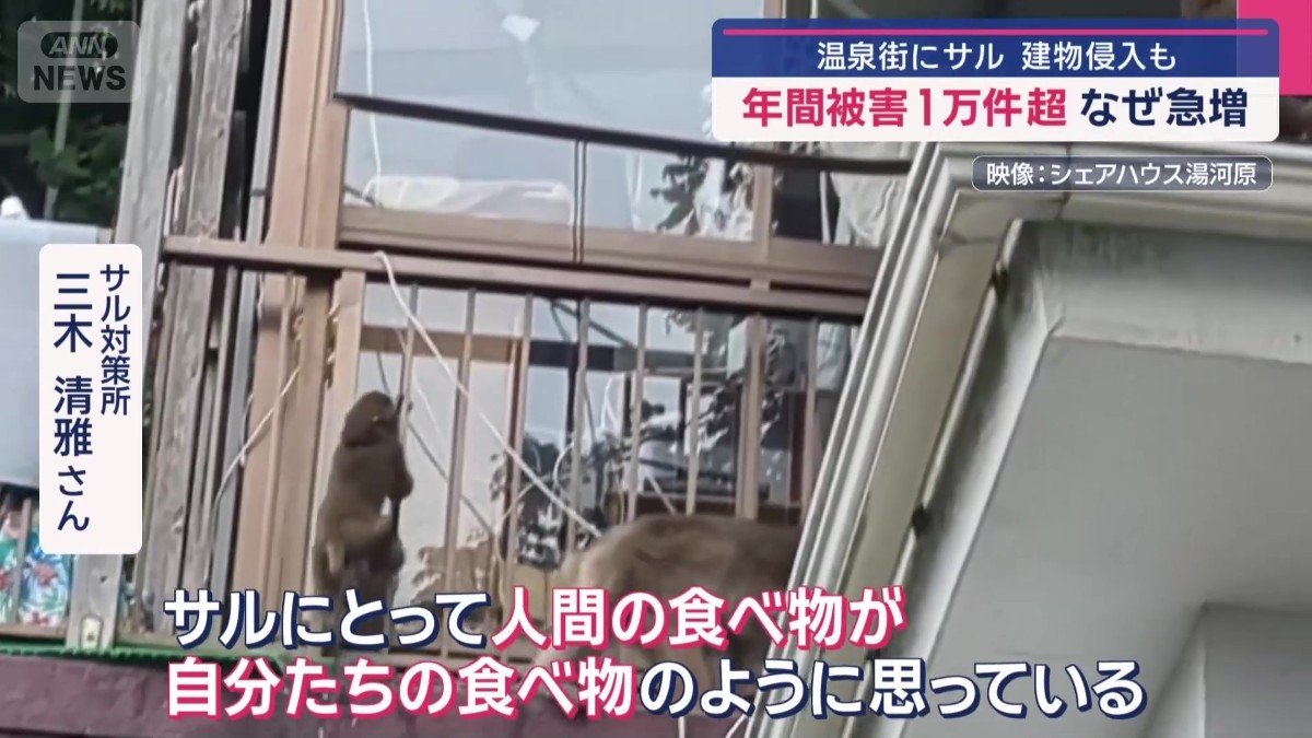 「自分たちの食べ物がとられるぐらいに思っている可能性」