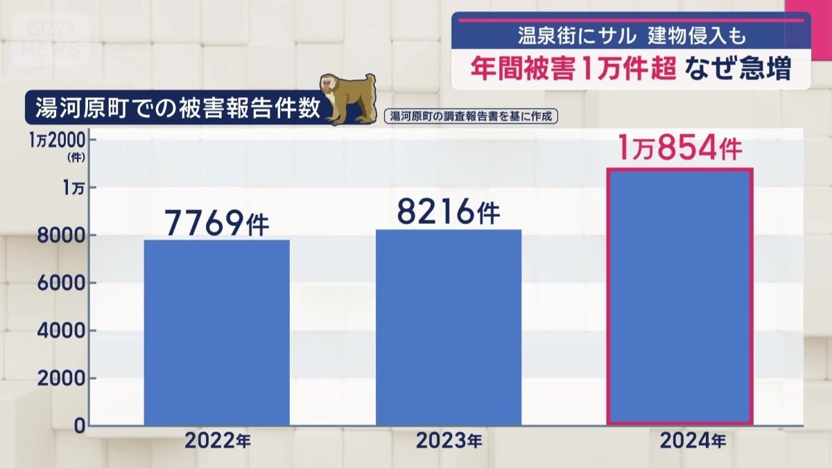 被害報告は急増