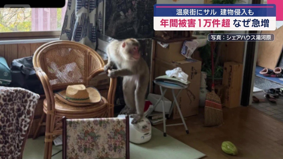 炊飯器の上に…