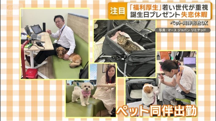 ペットと一緒に出勤することが可能