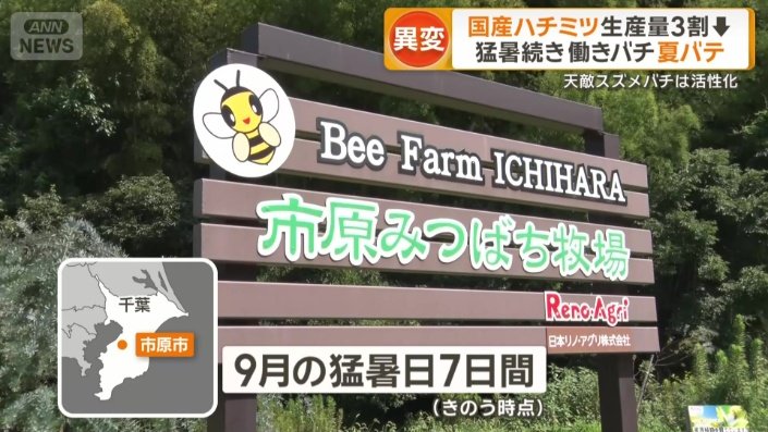 千葉県市原市の養蜂家