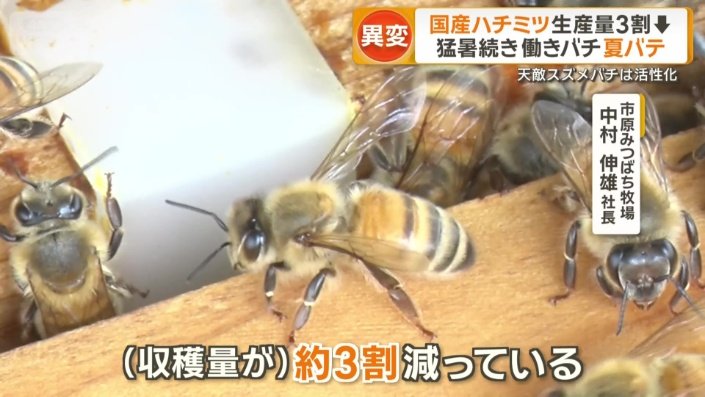 収穫量が「約3割減」