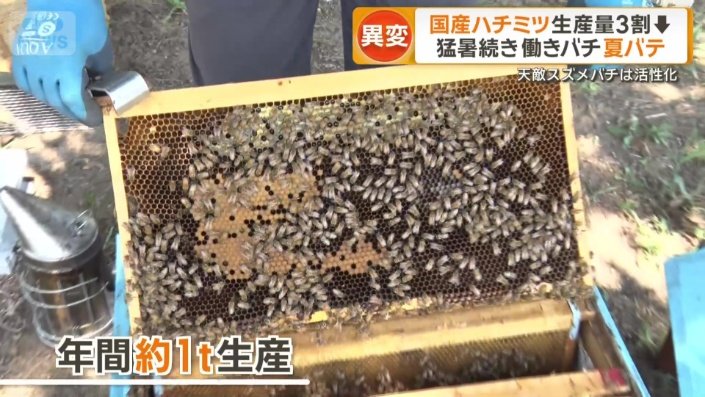 年間約1トンのハチミツ生産