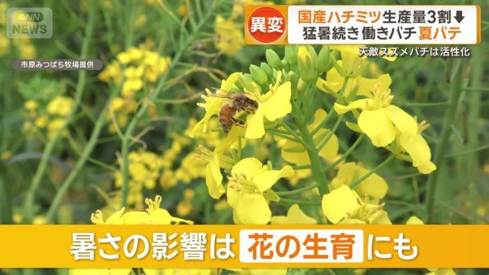 花の生育にも影響