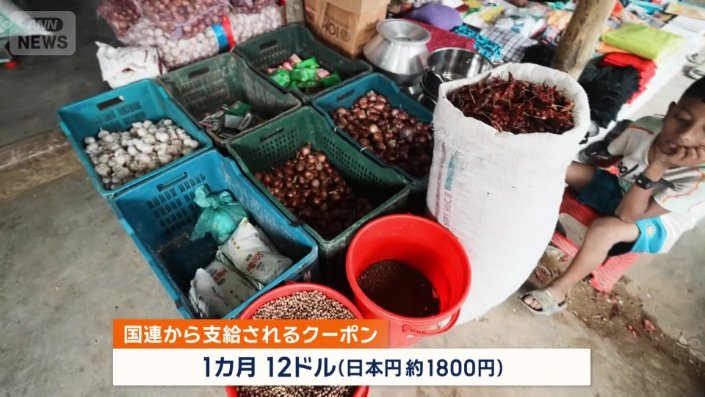 食料などは国連から支給