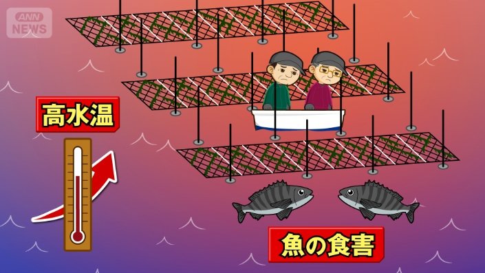 海水温の上昇