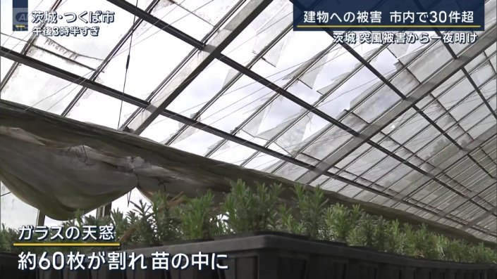 ガラスの天窓