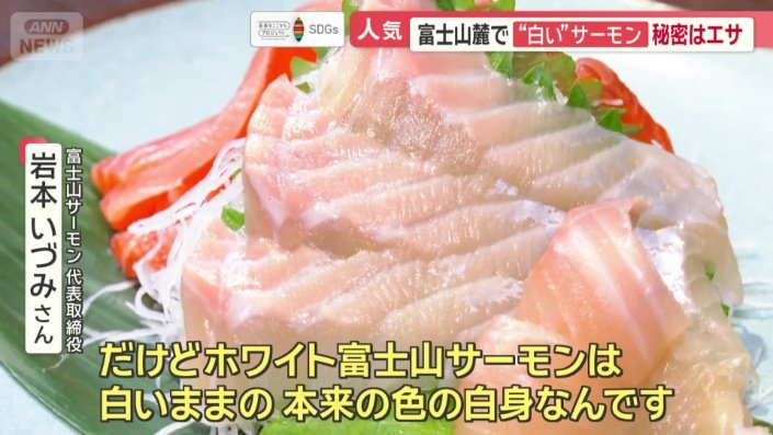白い身の秘密は餌に