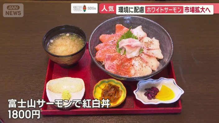 通常のサーモンと白いサーモンを合わせた紅白丼