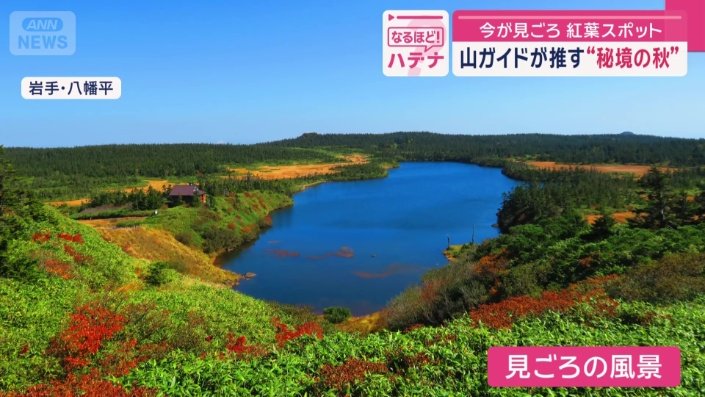 見ごろの風景