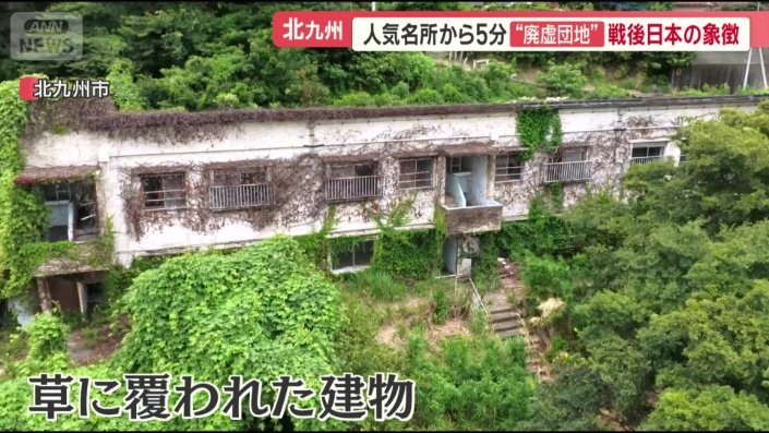 草に覆われた建物