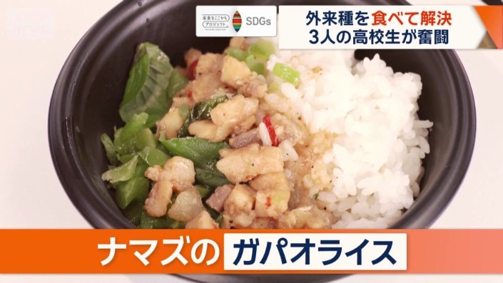 ナマズのガパオライス