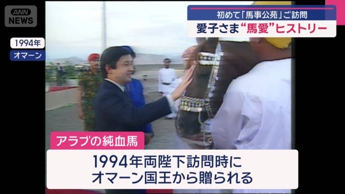 アラブ純血の名馬