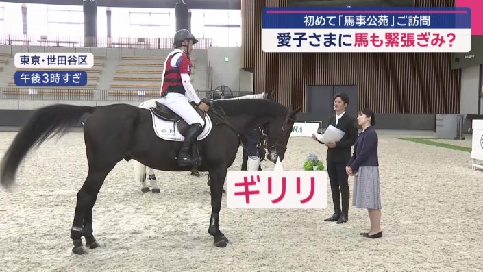 馬が緊張の歯ぎしり