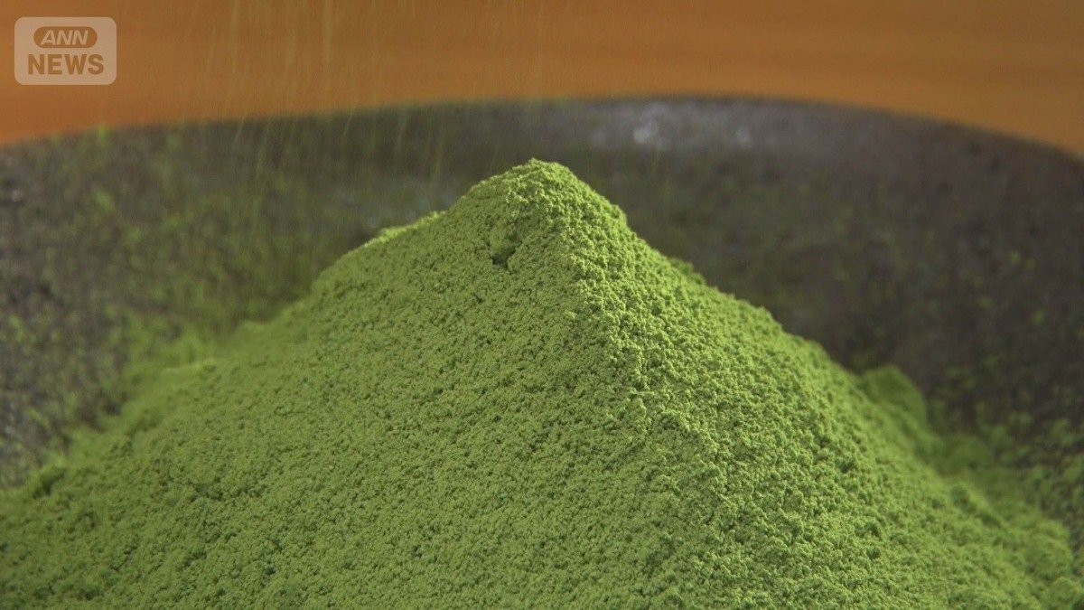 抹茶バブルで煎茶がピンチ　生産切り替え農家が相次ぐ　世界的ブーム「爆発的高騰」