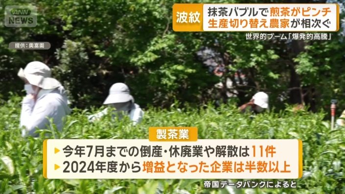 抹茶バブルへの対応で明暗か