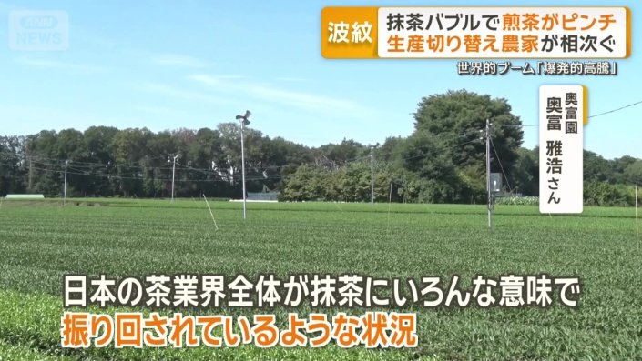 「抹茶にいろんな意味で振り回されている」