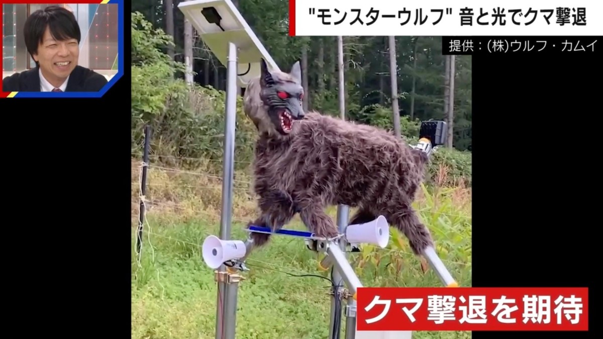 「クマに一番効果がある」怖すぎる… “モンスターウルフ”がヒグマを追い払う瞬間 音と光で野生動物を撃退