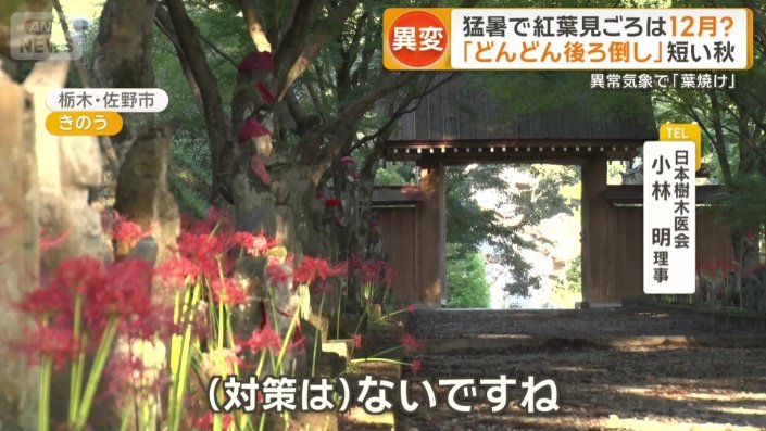 「（対策は）ない」