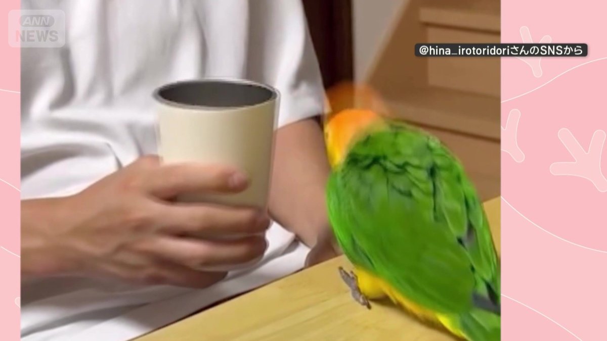何度もジャンプ！