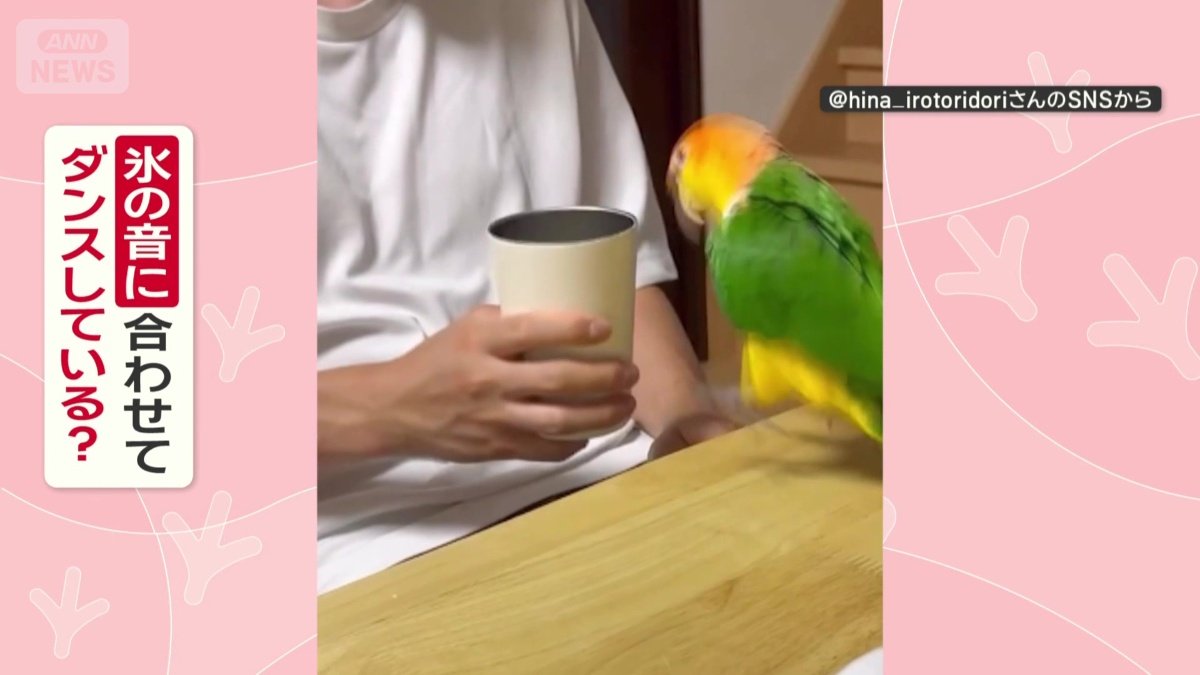 音に合わせてダンスしてる？